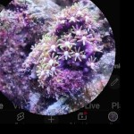 صورة المستخدم الرمزية