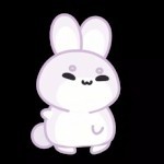 Bunny Animations
