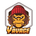 yavagedex