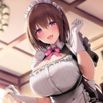 mahiro Japanese meat toilet bowl