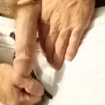 86c6cc7f417c1065404d