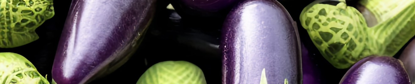 gatorpenis1