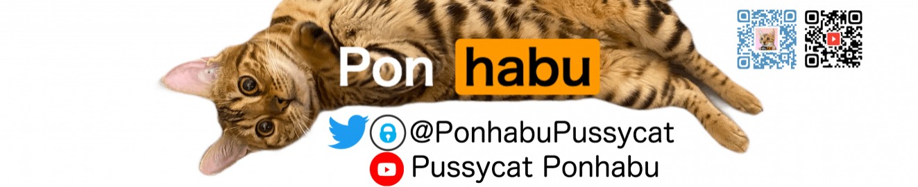 pussycat ponhabu
