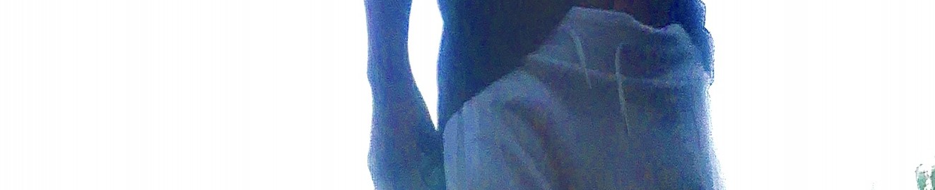 LongDiccLloyd
