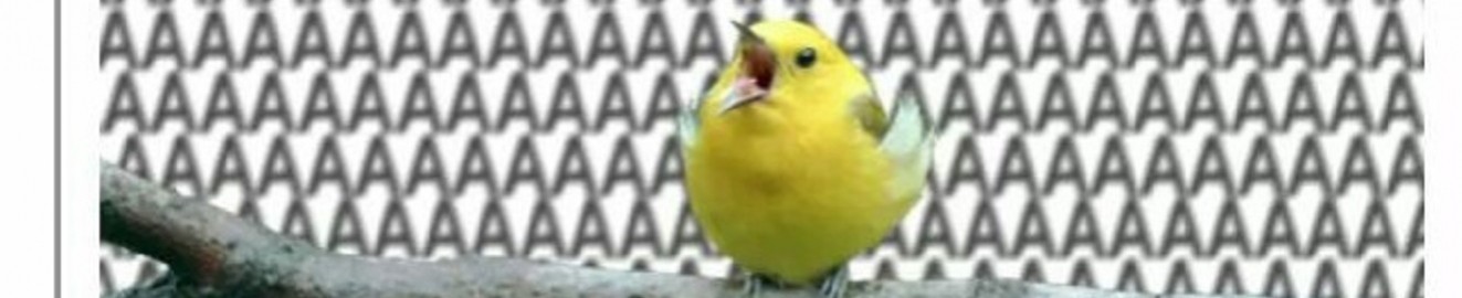 PsymonBGoode