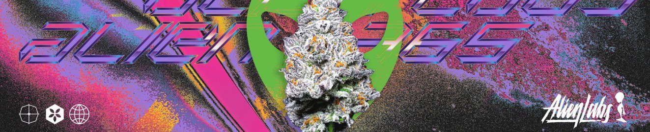 Terp Hub Exotics