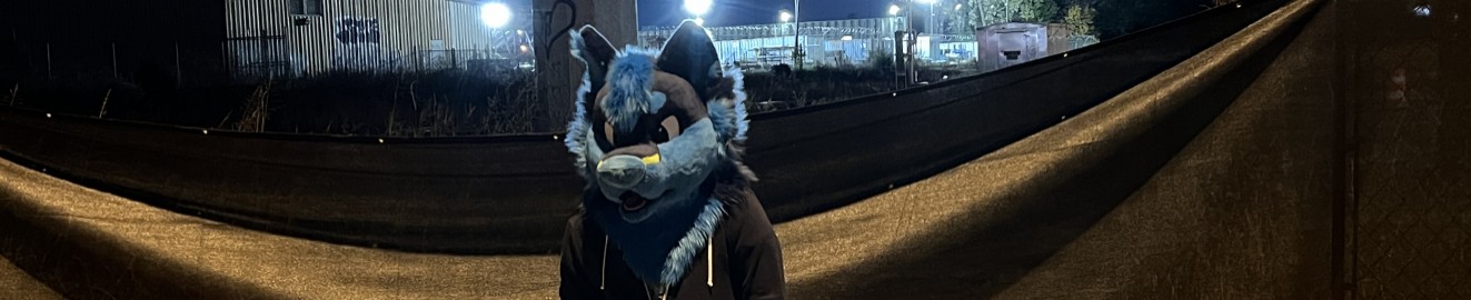 DomandPuppy
