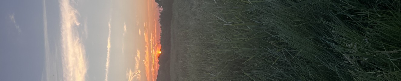 Solarking