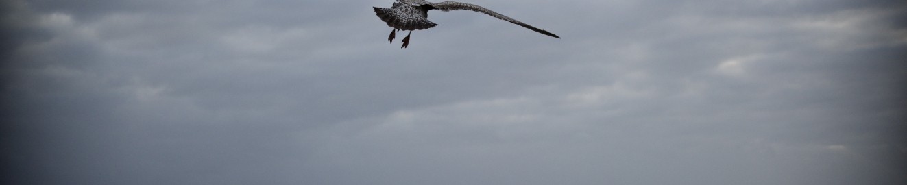 VoyageNocturne