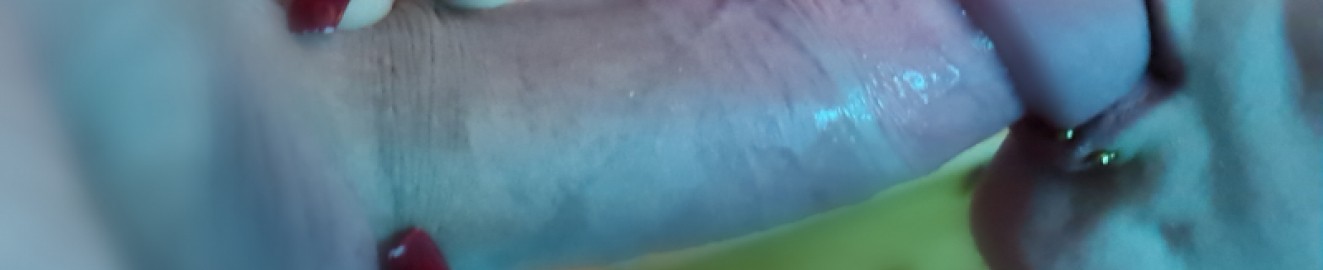 RainBro275