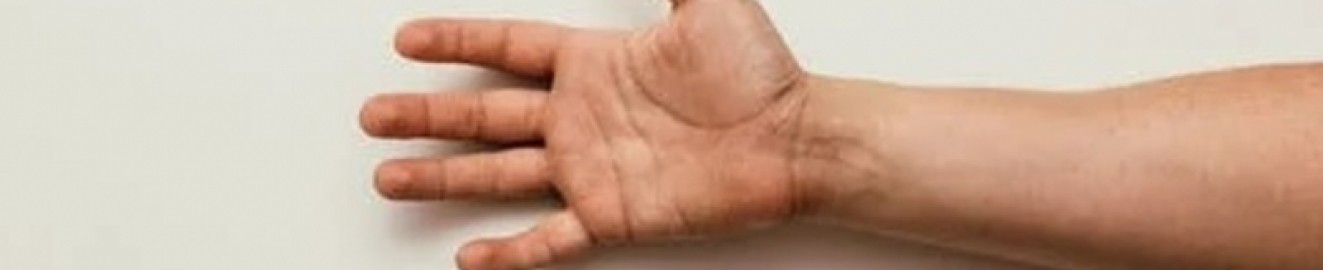IhandSoloJob