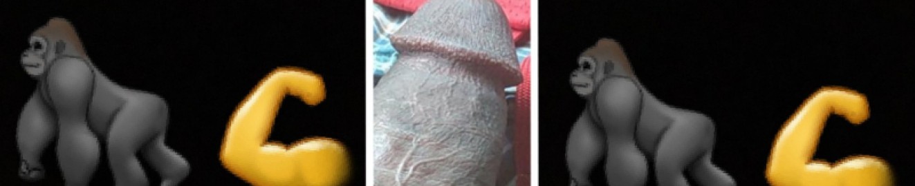 Gorilla Puncher