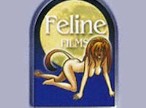 FelineFilms