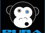 PUBA