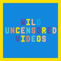 WildUncensoredVideos