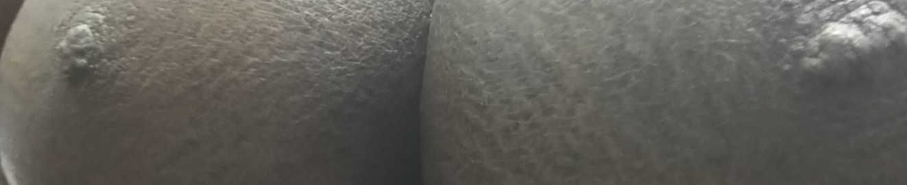 stud2dickrider