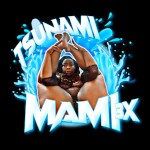 Tsunamimamixxx