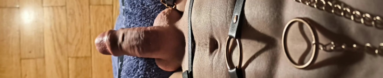 Exhibidick