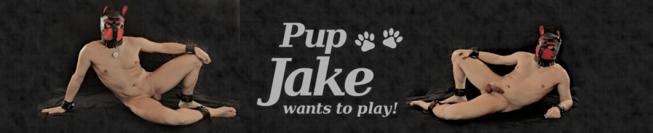 Pup Jake wants to play