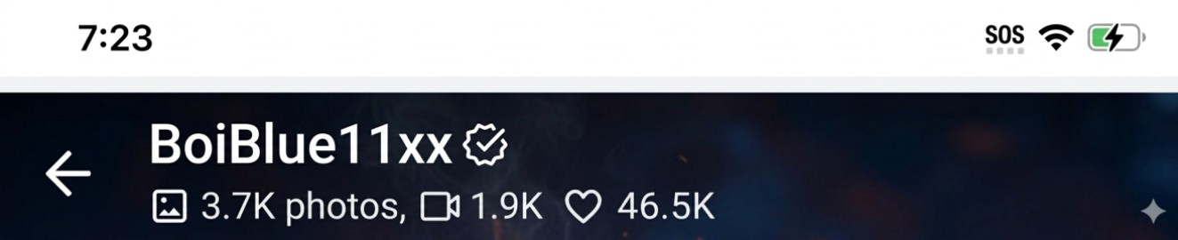 BoiBlue11xx