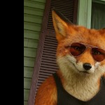 MrFoxxsy