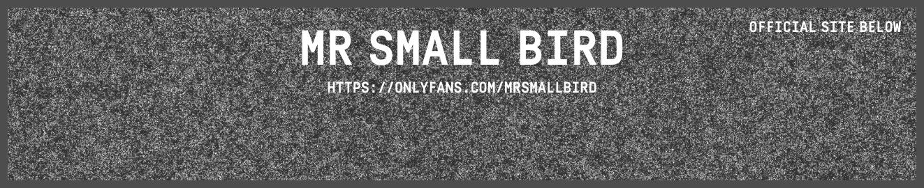 Mr Small Bird