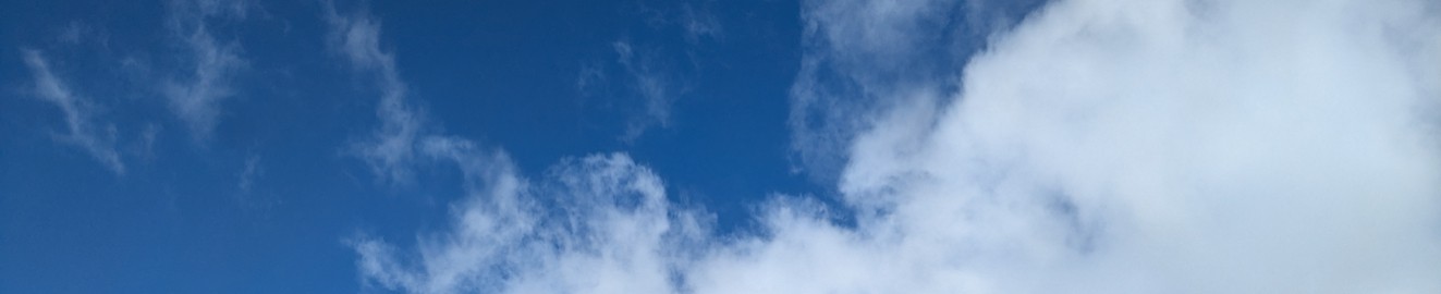 MinimalInformation