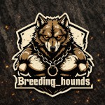 Breeding Hounds