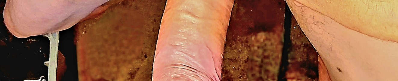 Dirty_littlesex