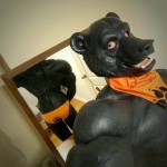 BearBeatsHisMeat