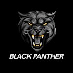 BLACK PANTHER GAMER
