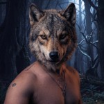 WolfPoV