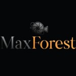 MaxForestFilm