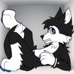 Benutzeravatar