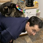 Your Thoughtful Partner