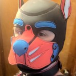 PupMitt