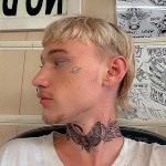 Breedmeasroughasyoucan