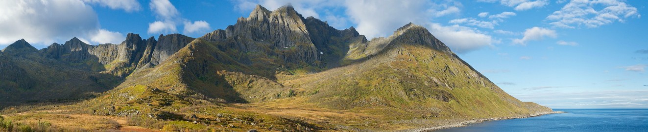 SomeHornyNorwegian