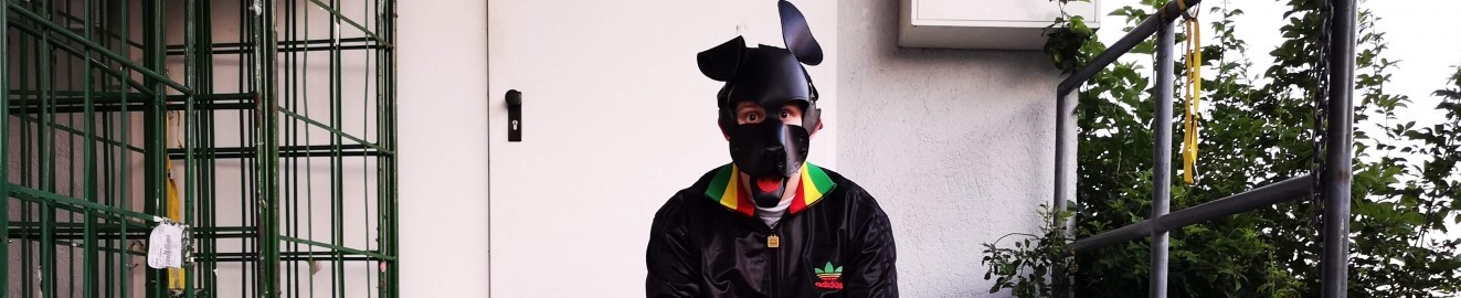 Puppy_Timbo