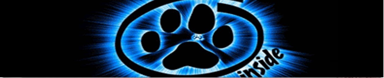 Furry-Gay