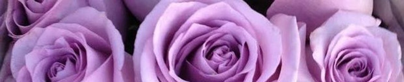 JustViolet