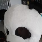 Hereforthepandas