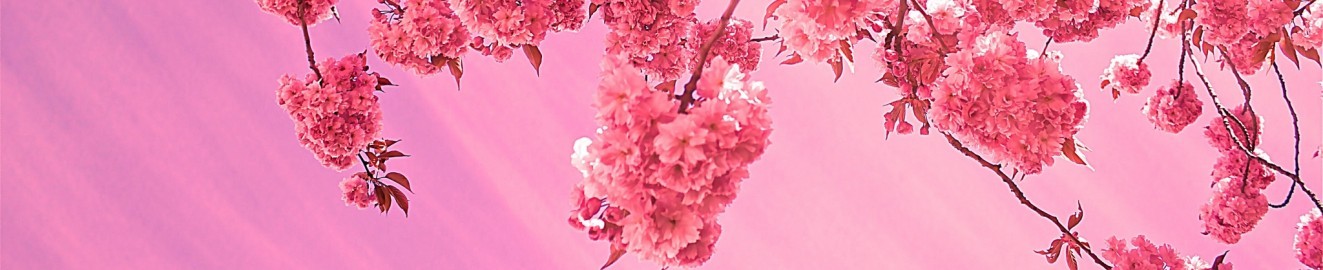 Sweetblueyes