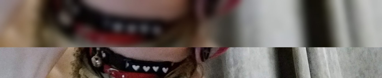 Thiccskinnybitch