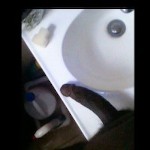 dreadhead102