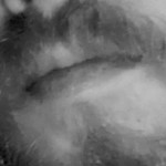 ryker_8