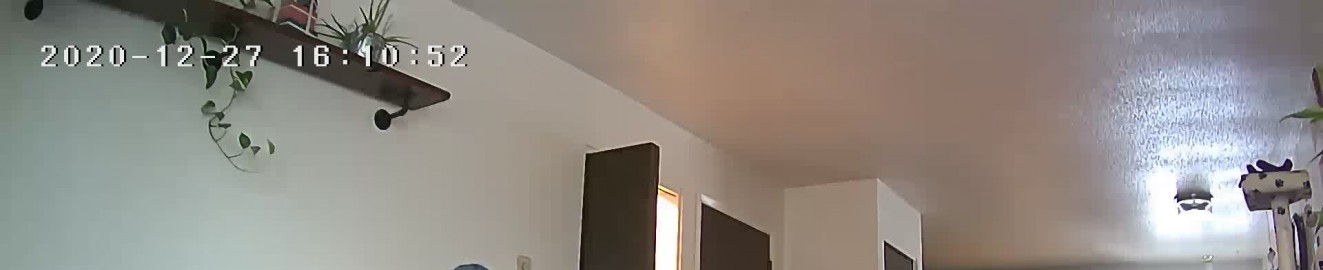 Dirtylittlefeet