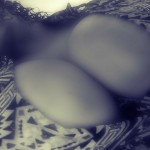 BBWLoves2BFisted