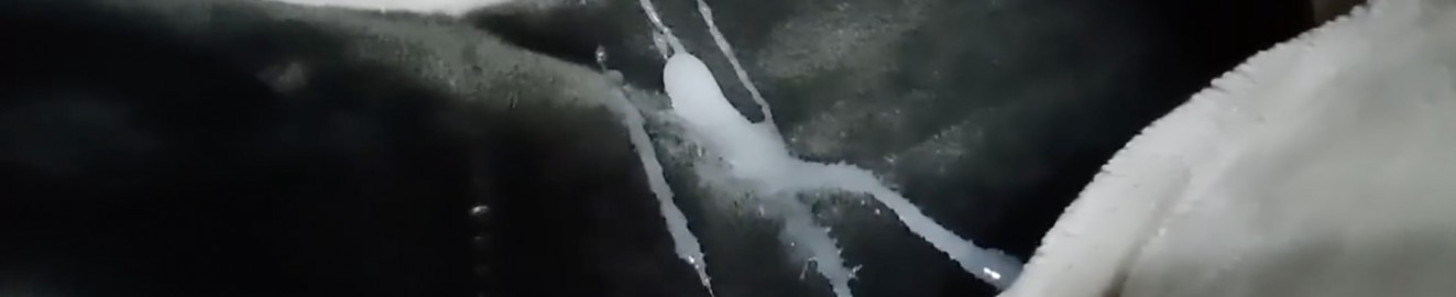 unicorn_project