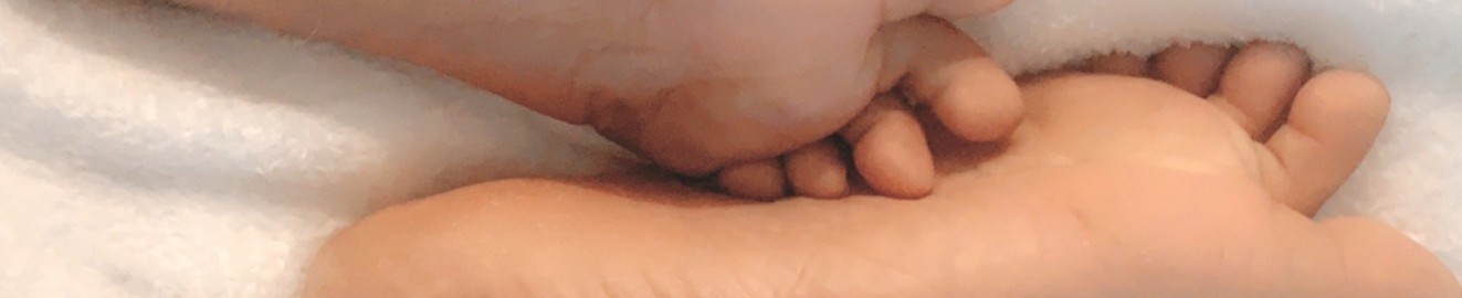 fluffypussycat1